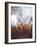 Splashly Umber II-Herb Dickinson-Framed Photographic Print