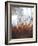 Splashly Umber II-Herb Dickinson-Framed Photographic Print