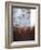 Splashy Umber I-Herb Dickinson-Framed Photographic Print