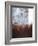 Splashy Umber I-Herb Dickinson-Framed Photographic Print