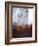 Splashy Umber I-Herb Dickinson-Framed Photographic Print