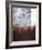 Splashy Umber I-Herb Dickinson-Framed Photographic Print