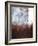 Splashy Umber I-Herb Dickinson-Framed Photographic Print