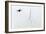 Splatter-Alfredo Yanez-Framed Photographic Print