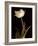 Splendid Beauty-Charles Britt-Framed Giclee Print