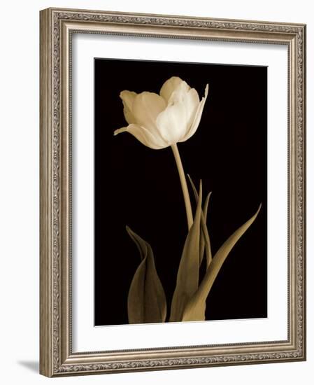 Splendid Beauty-Charles Britt-Framed Giclee Print