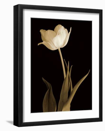 Splendid Beauty-Charles Britt-Framed Giclee Print