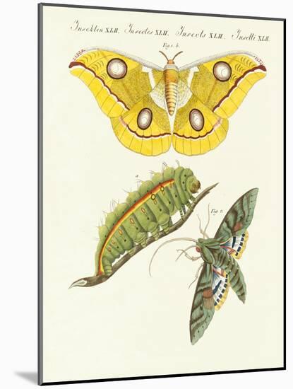 Splendid Foreign Butterflies-null-Mounted Giclee Print