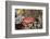 Splendid Pebble Crab (Etisus Splendidus)-Reinhard Dirscherl-Framed Photographic Print