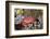 Splendid Pebble Crab (Etisus Splendidus)-Reinhard Dirscherl-Framed Photographic Print