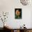 Splendid Roses-Dietmar Najak-Photographic Print displayed on a wall