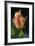 Splendid Roses-Dietmar Najak-Framed Photographic Print