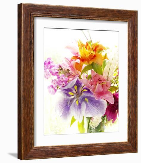 Splendor I-Judy Stalus-Framed Art Print