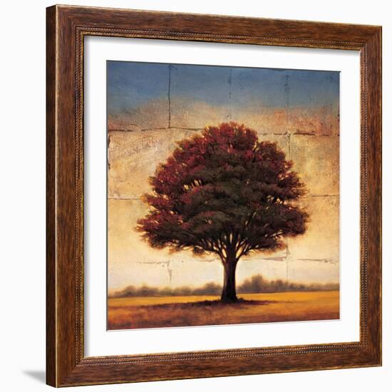 Splendor I-Gregory Williams-Framed Art Print