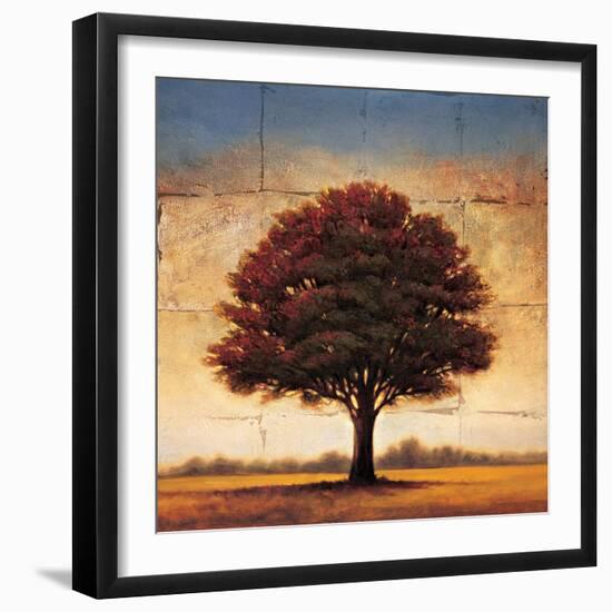 Splendor I-Gregory Williams-Framed Art Print