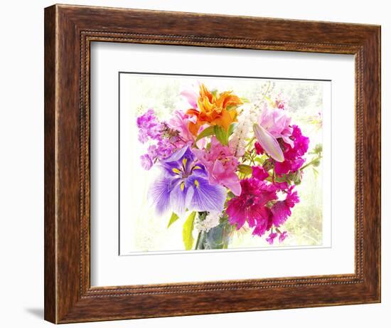 Splendor II-Judy Stalus-Framed Art Print