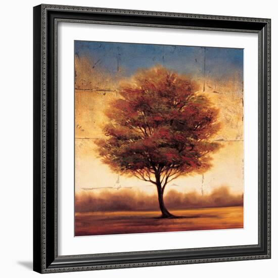 Splendor II-Gregory Williams-Framed Art Print