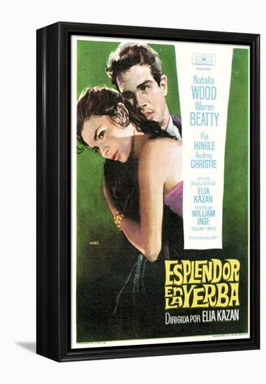 Splendor in the Grass, Spanish Movie Poster, 1961-null-Framed Stretched Canvas