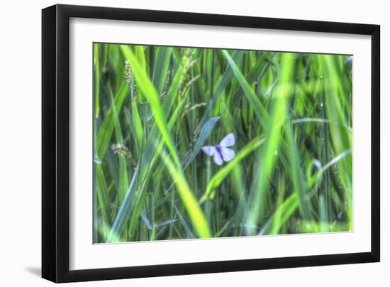 Splendor in the Grass-Robert Goldwitz-Framed Photographic Print