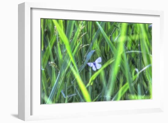 Splendor in the Grass-Robert Goldwitz-Framed Photographic Print