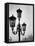 Splendor of a Street Light in the Piazza San Marco with the Santa Maria Della Salute Church-Dmitri Kessel-Framed Premier Image Canvas