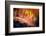 Splendor-Ursula Abresch-Framed Photographic Print