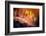 Splendor-Ursula Abresch-Framed Photographic Print