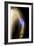 Splintered Arm Fracture, X-ray'-Du Cane Medical-Framed Photographic Print