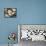 Split 4-Doris Charest-Framed Stretched Canvas displayed on a wall
