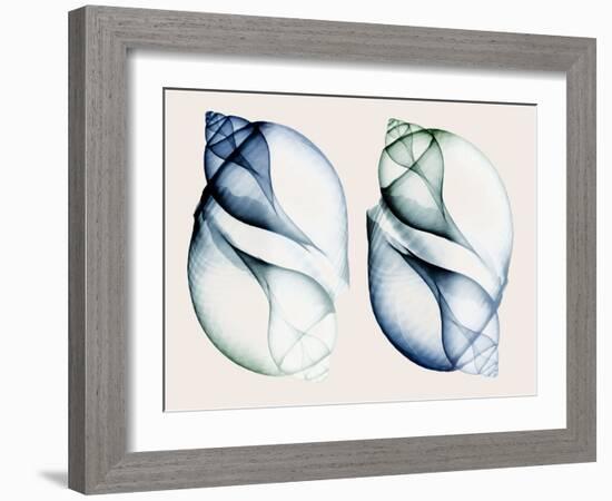 Split Breeze 1-Albert Koetsier-Framed Photo