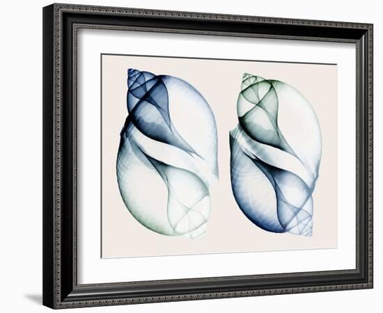 Split Breeze 1-Albert Koetsier-Framed Photo