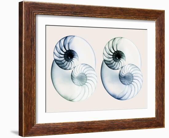 Split Breeze 2-Albert Koetsier-Framed Photo