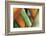 Split Decision-Dana Styber-Framed Photographic Print