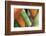 Split Decision-Dana Styber-Framed Photographic Print