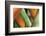 Split Decision-Dana Styber-Framed Photographic Print