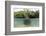 Split Image of a Large Mangrove and its Extensive Prop Root System-Reinhard Dirscherl-Framed Photographic Print