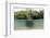 Split Image of a Large Mangrove and its Extensive Prop Root System-Reinhard Dirscherl-Framed Photographic Print