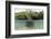 Split Image of a Large Mangrove and its Extensive Prop Root System-Reinhard Dirscherl-Framed Photographic Print