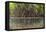 Split Image of Mangroves and their Extensive Prop Roots, Risong Bay, Micronesia, Palau-Reinhard Dirscherl-Framed Premier Image Canvas