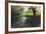 Split Image of Mangroves and their Extensive Underwater Prop Root System-Reinhard Dirscherl-Framed Photographic Print