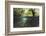 Split Image of Mangroves and their Extensive Underwater Prop Root System-Reinhard Dirscherl-Framed Photographic Print