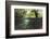 Split Image of Mangroves and their Extensive Underwater Prop Root System-Reinhard Dirscherl-Framed Photographic Print