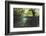 Split Image of Mangroves and their Extensive Underwater Prop Root System-Reinhard Dirscherl-Framed Photographic Print