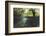 Split Image of Mangroves and their Extensive Underwater Prop Root System-Reinhard Dirscherl-Framed Photographic Print