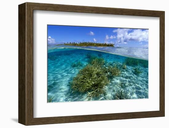 Split image of staghorn coral, Acropora sp., and uninhabited island, Ailuk atoll, Marshall Islands-Andre Seale-Framed Photographic Print