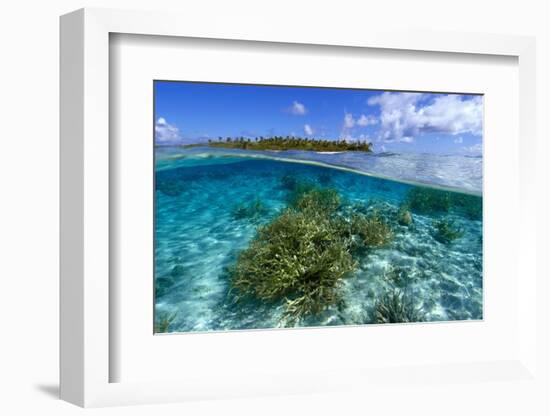 Split image of staghorn coral, Acropora sp., and uninhabited island, Ailuk atoll, Marshall Islands-Andre Seale-Framed Photographic Print