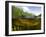 Split Level View of An American Alligator, Florida Everglades-Stocktrek Images-Framed Photographic Print