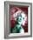 Split Personality-Victor Habbick-Framed Photographic Print