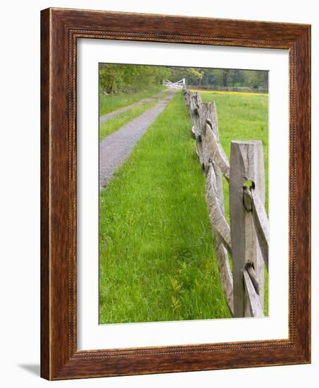 Split Rail Fence and Farm Road, Essex County, Ipswich, Massachusetts, USA-Jerry & Marcy Monkman-Framed Photographic Print