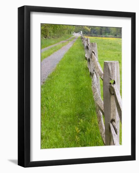 Split Rail Fence and Farm Road, Essex County, Ipswich, Massachusetts, USA-Jerry & Marcy Monkman-Framed Photographic Print